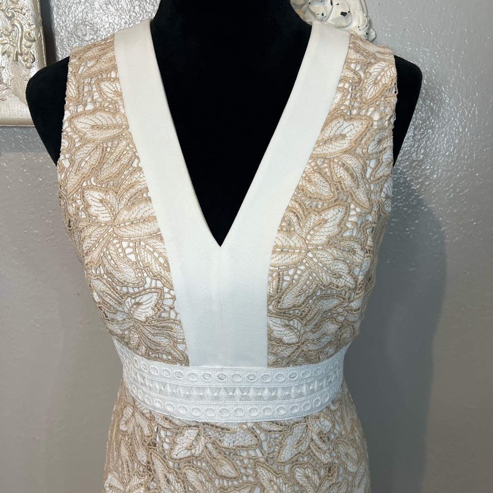 ANTONIO MELANI Beige and White Lace Maxi Dress - Picture 7 of 11